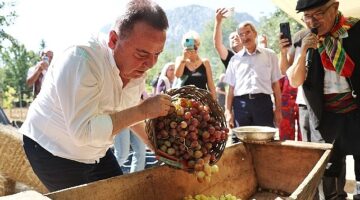 Antalya Gastronomi Festivali'nin İkinci Gününde Mor Üzüm Hasadı