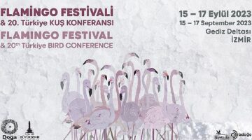Türkiye'nin ilk Flamingo Festivali İzmir'de Gerçekleşiyor.