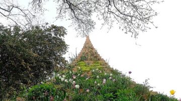 Agnes denes'in yaşayan piramit eseri, 30 ekim'e kadar ssm'nin bahçesinde