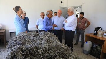 Muğla'da Büyükşehir Belediyesi'nin Tarımsal Güçbirliği Projesi Üreticiye Kazandırıyor