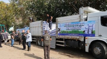 Aydın büyükşehir belediyesi'nden selden etkilenen üreticiye yem desteği
