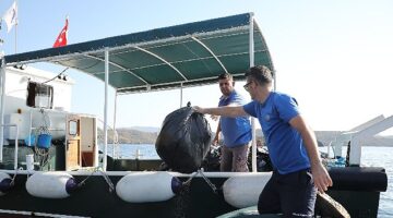 Büyükşehir Gökova Körfezi'nden Günlük 3 Bin 420 Kg. Çöp  Topladı