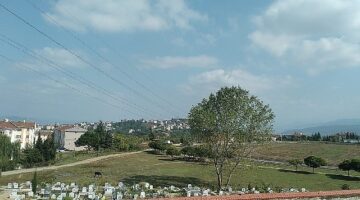Kocaeli  Büyükşehir, mezarlıkların bakımını unutmuyor
