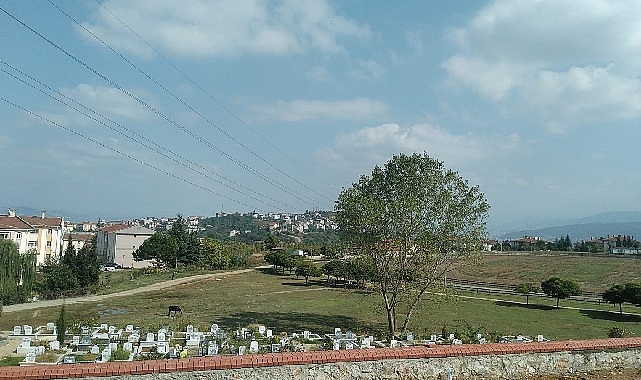 Kocaeli  Büyükşehir, mezarlıkların bakımını unutmuyor