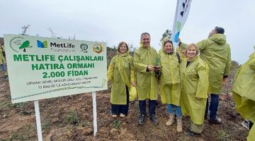 MetLife Türkiye çalışanları ikinci ormanları ile 24 bin 500 fidana hayat verdi