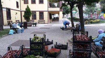 -Osmangazi Belediyesi ilçeyi çiçek bahçesine çeviriyor