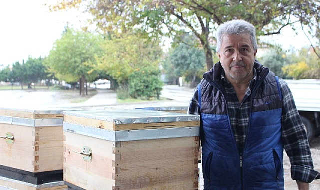 Kemer'de arı üreticilerine kovan desteği