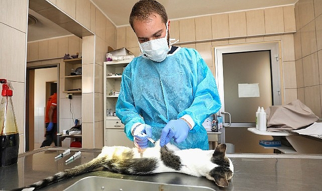 Gaziemir'de 27 bin 631 hayvana veteriner sağlık hizmeti