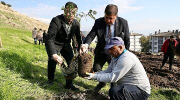 Karşıyaka'da ağaç varlığı hızla artmaya devam ediyor