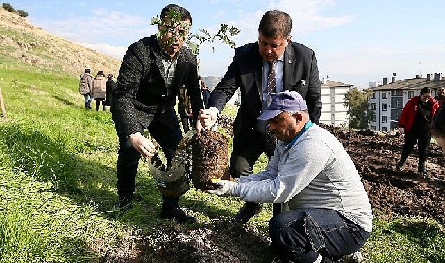 Karşıyaka'da ağaç varlığı hızla artmaya devam ediyor