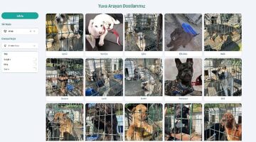 Beylikdüzü Belediyesi, toplumda öncülük etmek ve farkındalık oluşturmak için ilçe sınırları içinde yaşayan sahipsiz sokak hayvanlarını sahiplendirmek için çalışmaları online ortama taşıdı