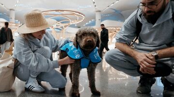 İGA İstanbul Havalimanı Terapi Köpekleri Uçuş Stresini Azaltmak İçin Göreve Hazır!