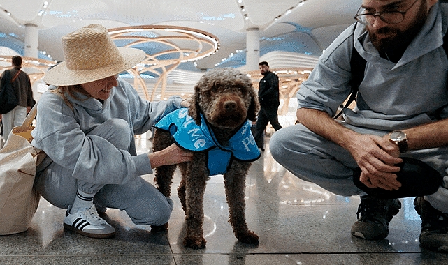 İGA İstanbul Havalimanı Terapi Köpekleri Uçuş Stresini Azaltmak İçin Göreve Hazır!