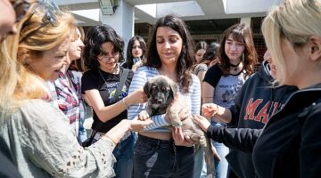 4 Nisan Dünya Sokak Hayvanları Günü PAKO'da kutlandı