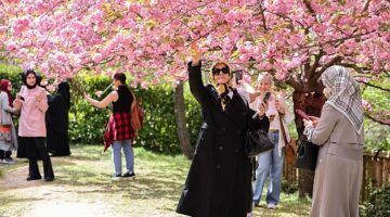 İstanbul Baltalimanı'ndaki Japon Bahçesi ziyaretçilerini hayran bırakıyor