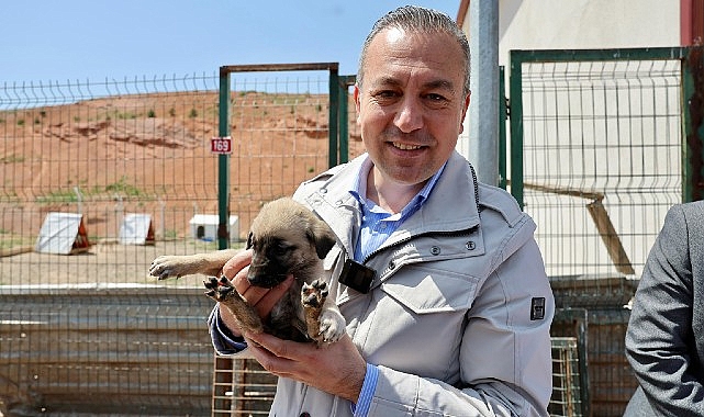 Sivas Belediye Başkanı Dr. Adem Uzun Sokak Hayvanları Bakım ve Rehabilite Merkezi'ni ziyaret etti
