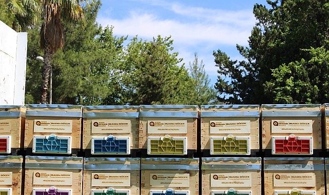 Antalya Büyükşehir Belediyesi'nin arı üreticilerine kovan desteği sürüyor