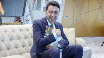 Bayraklı Belediye Başkanı İrfan Önal, yaralı kediye sahip çıktı &apos;sahiplenme' çağrısı yaptı