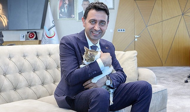 Bayraklı Belediye Başkanı İrfan Önal, yaralı kediye sahip çıktı &apos;sahiplenme' çağrısı yaptı