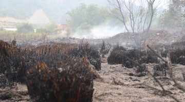Antalya Aksu Çalkaya Mahallesi'nde Çıkan Yangın Kontrol Altına Alındı