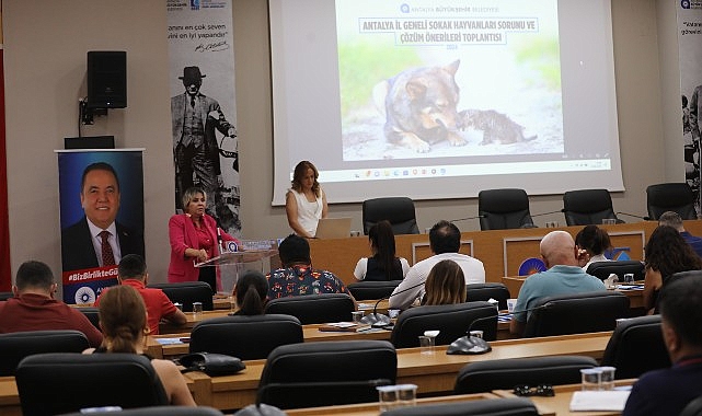 Antalya Büyükşehir sahipsiz hayvanlar için harekete geçti