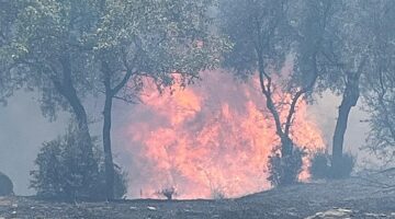 Aydın Büyükşehir Belediyesi İtfaiyesi, 48 saatte çıkan 81 yangına müdahale etti