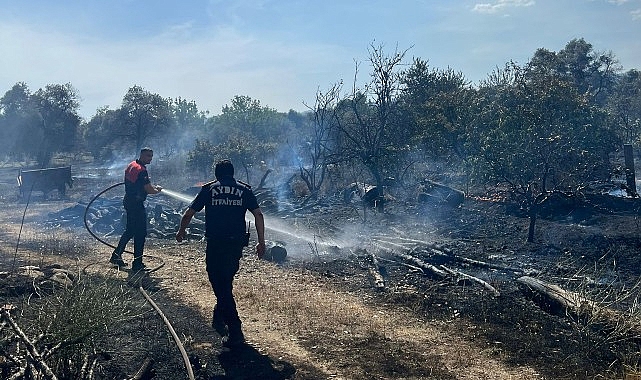 Aydın Büyükşehir Belediyesi İtfaiyesi, bugün öğle saatlerinde Efeler'in Umurlu Mahallesi'nde çıkan arazi yangınına kısa sürede müdahale ederek bir facianın önüne geçti