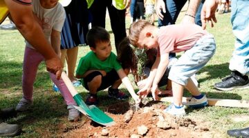 Aydın Büyükşehir Belediyesi'nin çocuk gelişim merkezine devam eden minikler, Dünya Çevre Haftası'nda 100 zeytin ağacı dikti.