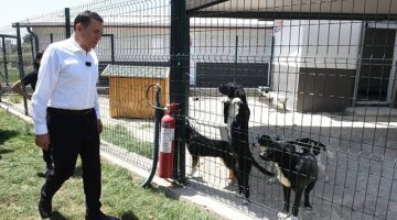 Başkan Özyiğit, “Bakımevimizde sokak hayvanlarını sahiplendirmeye başladık"