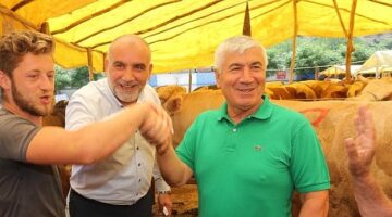 Canik'te Kurban Pazarı Açıldı: Veteriner Gözetiminde Satış