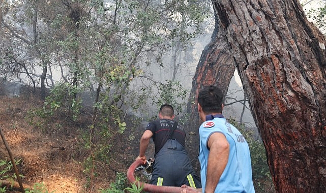 Lara'daki orman yangını kontrol altına alındı