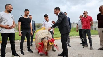 Nevşehir Belediye Başkanı Rasim Arı, Kurban Bayramı'nda ihtiyaç sahibi ailelere kurban eti dağıtımı için başlatılan kampanyaya destek veren tüm hayırseverlere teşekkür etti
