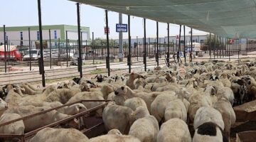 Selçuklu Belediyesi vatandaşların Kurban Bayramı'nı rahat ve huzurlu bir şekilde geçirmesi için tüm hazırlıkları tamamladı