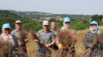 Tarım kenti Kandıra'da, Kandıra Belediyesi tarafından tarımsal üretimi desteklemek amacıyla sürdürülen çalışmalar aralıksız devam ediyor