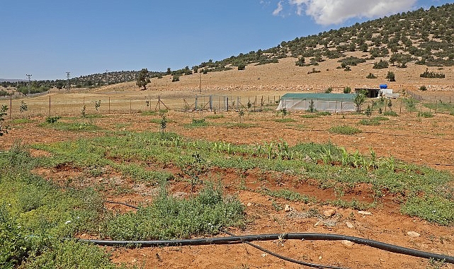 Antalya Büyükşehir Belediyesi arıtma suyunu tarımda kullandı
