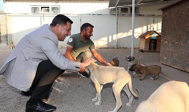 Nevşehir Belediye Başkanı Rasim Arı, Nevşehir'e yeni bir Hayvan Kasabası kazandırmak için çalışmalara başladıklarını açıkladı