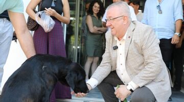 Edremit Belediye Başkanı Mehmet Ertaş sokak köpeğini sahiplendi