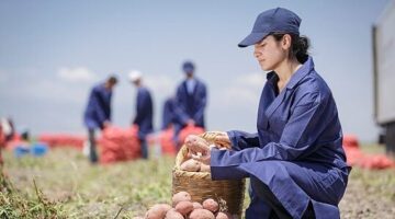 PepsiCo Türkiye'den 16 Ağustos Dünya Patates Gününde Yenileyici Tarımda Büyük Başarı: Patates Üretiminin %89'u Yenileyici Tarım Uygulamalarıyla Gerçekleşiyor