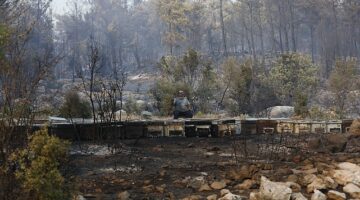 Büyükşehir Yangından Etkilenen Arıcılara Destek Olacak