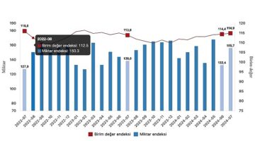 Tüik: İhracat birim değer endeksi %0,9 arttı