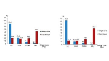 Tüik: İhracatın %43,4'ünü, ithalatın ise %55,5'ini büyük ölçekli girişimler gerçekleştirdi