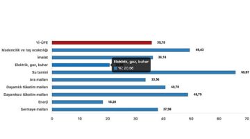 Tüik: Yurt İçi Üretici Fiyat Endeksi (Yİ-ÜFE) yıllık %35,75 arttı, aylık %1,68 arttı