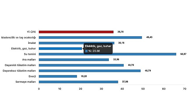 Tüik: Yurt İçi Üretici Fiyat Endeksi (Yİ-ÜFE) yıllık %35,75 arttı, aylık %1,68 arttı