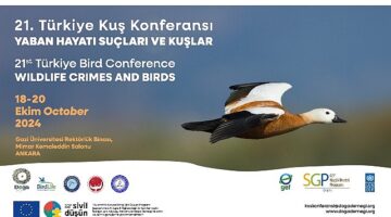 21. Türkiye Kuş Konferansı 18-20 Ekim 2024'te Yaban Hayatı Suçları ve Kuşlar temasıyla Ankara'da.