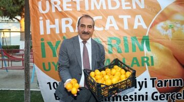 Satsuma mandalina yüklü TIR'lar ihracata yolcu edildi