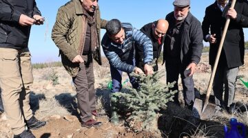 Nevşehir'de Yeni Doğan ve Ölen Kişiler İçin Fidan Dikildi