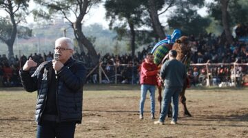 Pelitköy Deve Güreşleri İçin Geri Sayım Başladı