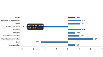 Tüik: Yurt İçi Üretici Fiyat Endeksi (Yİ-ÜFE) yıllık %29,47 arttı, aylık %0,66 arttı