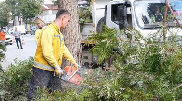 Aydın Büyükşehir Belediyesi, Söke'de gerçekleştirdiği çalışmalarla ilçeyi daha modern ve yaşanabilir hale getirmeye devam ediyor