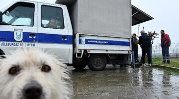 Dayanışmanın en güzel örneği